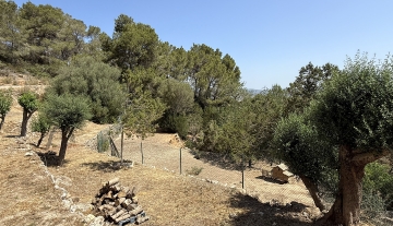 Resa Estates Ibiza koop  finca sale san augustin campo .jpeg